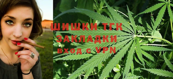 ПСИЛОЦИБИНОВЫЕ ГРИБЫ Аркадак