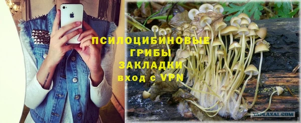 ГАЛЛЮЦИНОГЕННЫЕ ГРИБЫ Армянск
